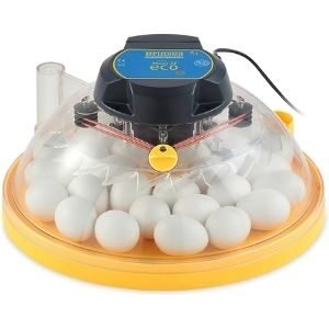Brinsea Products Mini II Eco Manual 10 Egg Incubator-USAB15C
