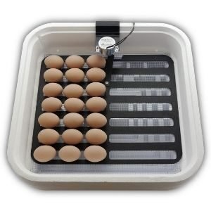 HovaBator Genesis 1588 Advanced Egg Incubator Combo Kit- HB1588A