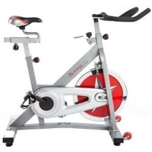 Sunny Health & Fitness Indoor Cycling Exercise Bike