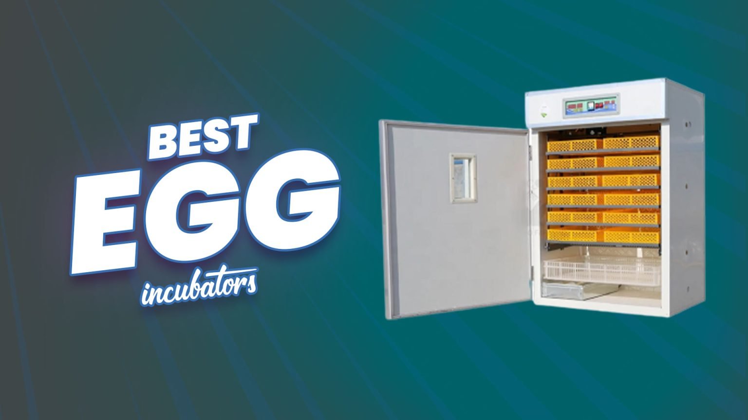 15+ Best Egg Incubators 2024 According To Experts