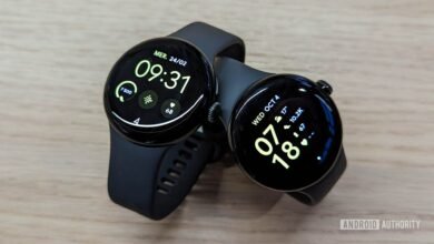 Galaxy Wearable App Malfunction Leaves Google Pixel and Samsung Galaxy Watch Users Stranded